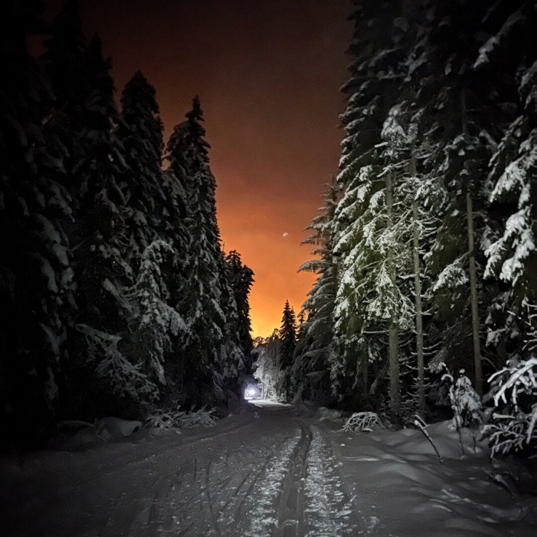 Ski trail going into dark forest with golden light in horizon