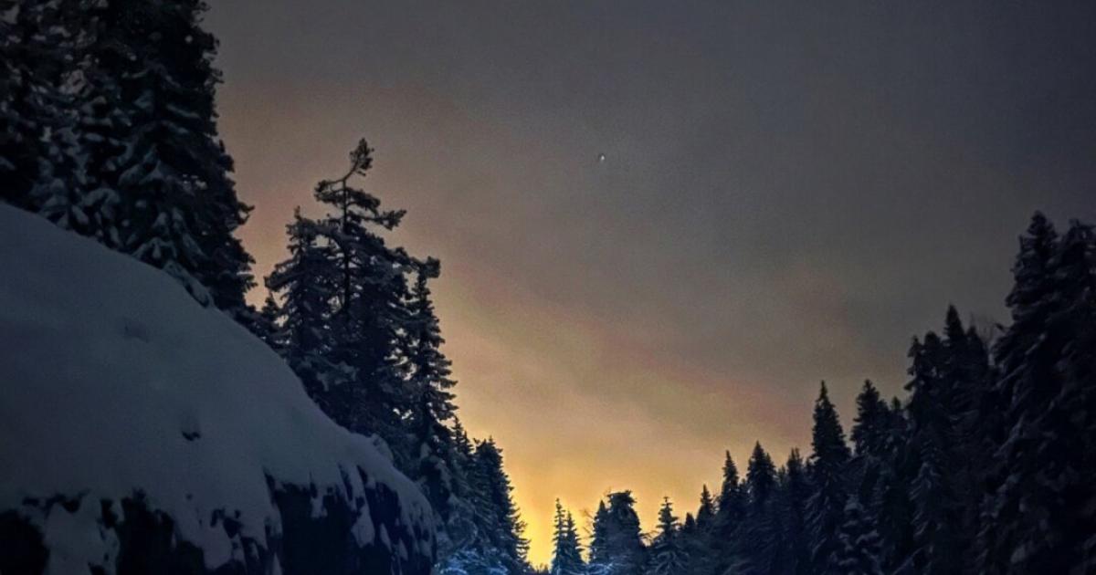 Winter evening with light behind trees