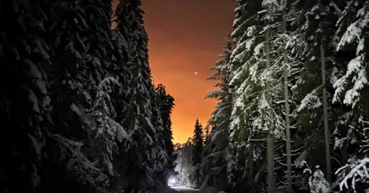 Ski trail going into dark forest with golden light in horizon